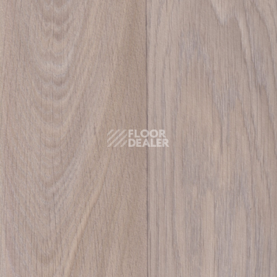 Линолеум IVC Vision Toronto 533 фото 1 | FLOORDEALER